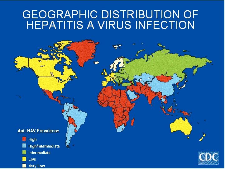 World map showing areas of high, medium, low, and no risk of Hepatitis A by country.