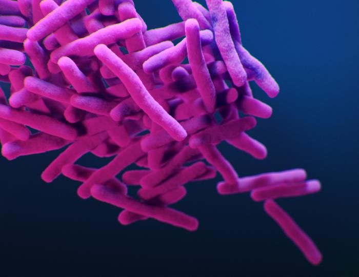 A cluster of rod-shaped bacteria appears in bright pink against a smooth, dark blue background. The bacteria have a slightly fuzzy texture and are densely packed, with some rods overlapping or extending outward. The image has a 3D effect, making the bacteria look as if they’re floating in space.